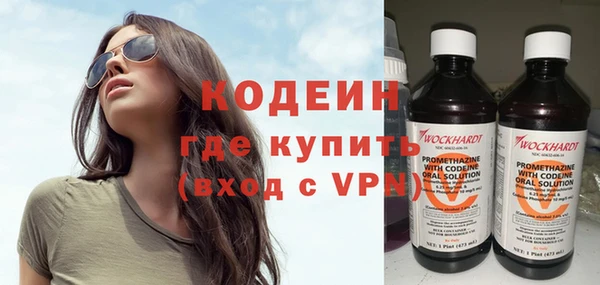 шишки Мегион