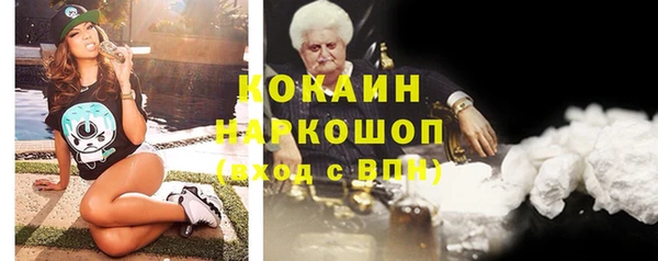 шишки Мегион