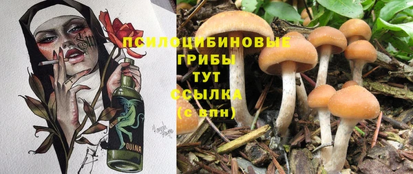 мяу мяу мука Медногорск