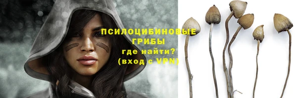 мяу мяу мука Медногорск