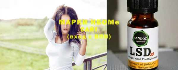 шишки Мегион
