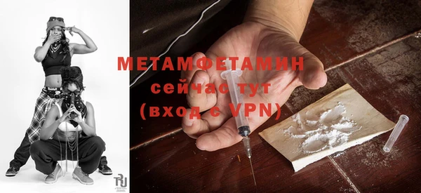 шишки Мегион