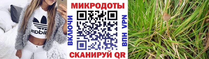 купить наркоту  Никольское  Псилоцибиновые грибы GOLDEN TEACHER 